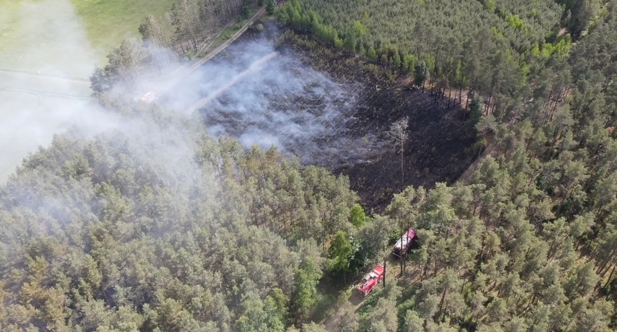 Groźny pożar lasu. Do akcji ruszyły samoloty i dron