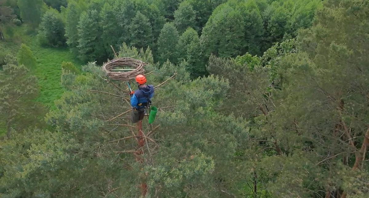 Czekając na rybołowa