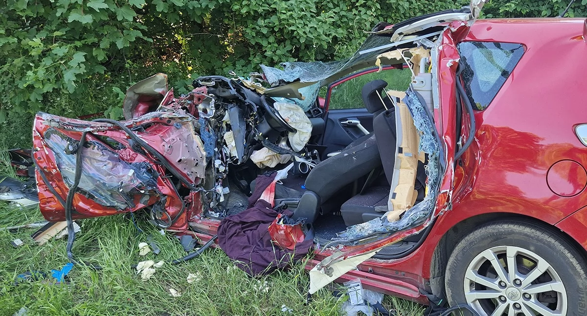 Zięć z teściem zginęli pod Podgajami