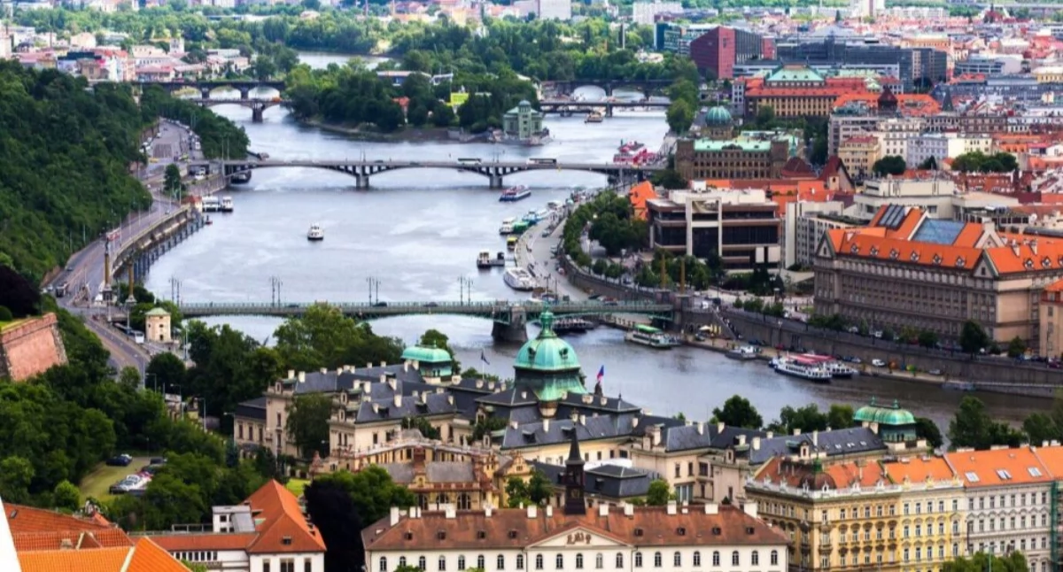 Dostawa kwiatów w Warszawie w godzinach szczytu. Jak to robią profesjonaliści?