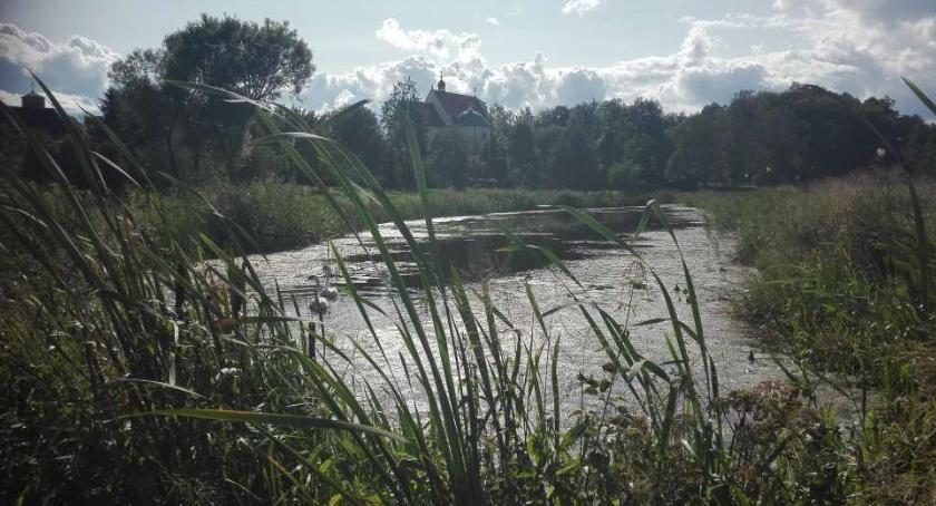 Ostrzeżenie hydrologiczne nr O:115 - gwałtowne wzrosty stanów wody