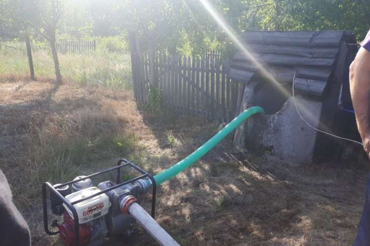 Kot w studni - strażacy pomogli