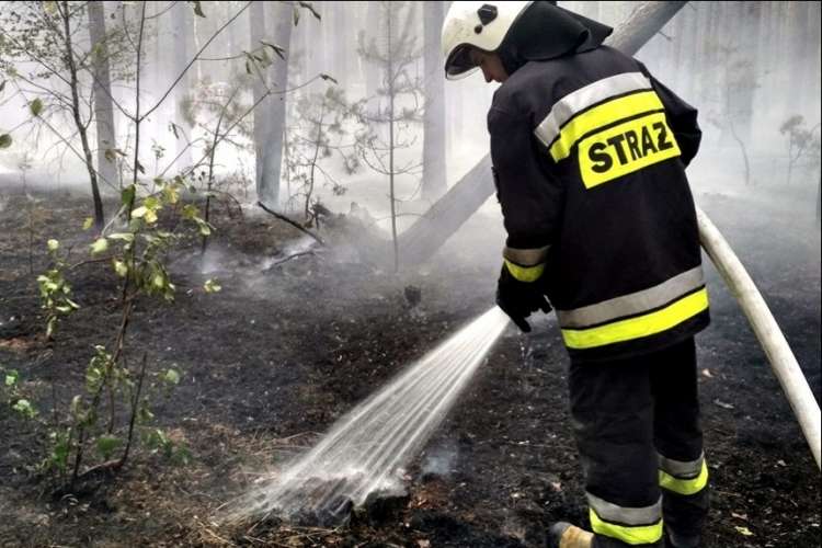 Strażacy i leśnicy walczyli z pożarem w lesie