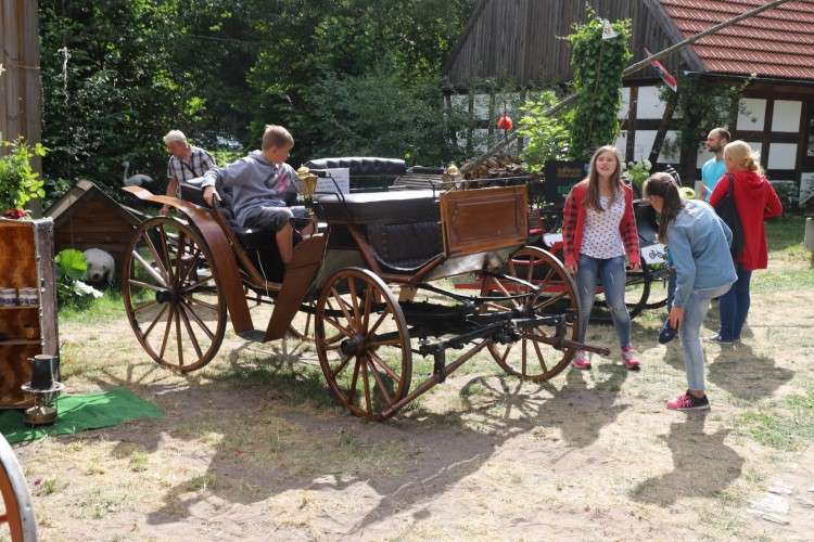 Ekspozycja bryczek konnych w Zagrodzie Krajeńskiej