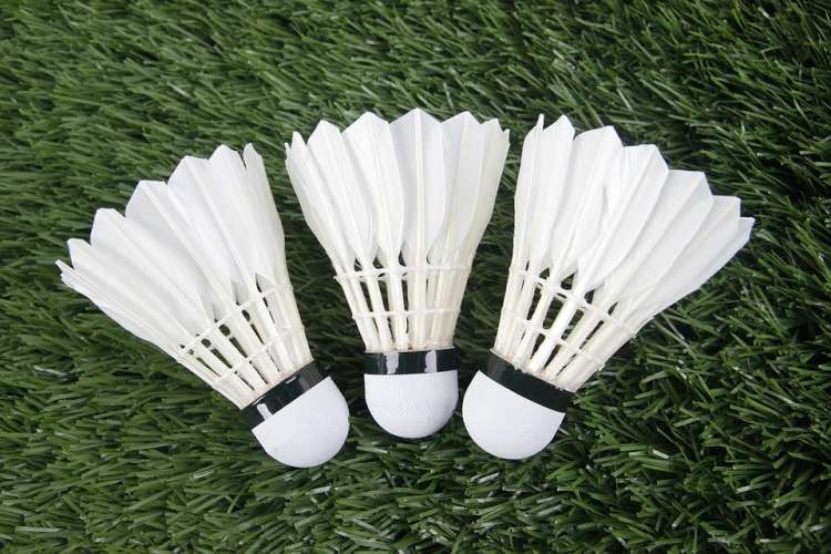 Wakacyjny badminton