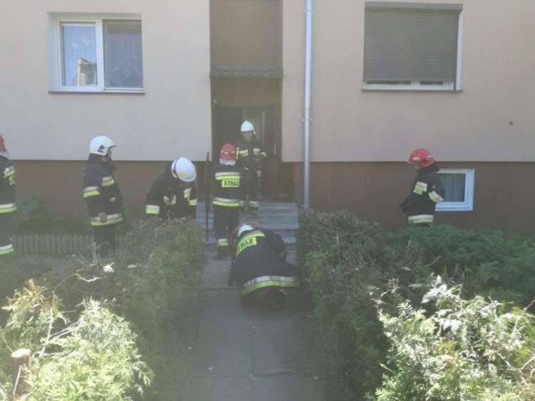 Sąsiedzi zauważyli dym, strażacy uratowali mężczyznę
