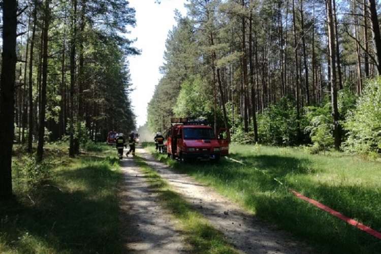 Inspekcja u strażaków z powiatu złotowskiego