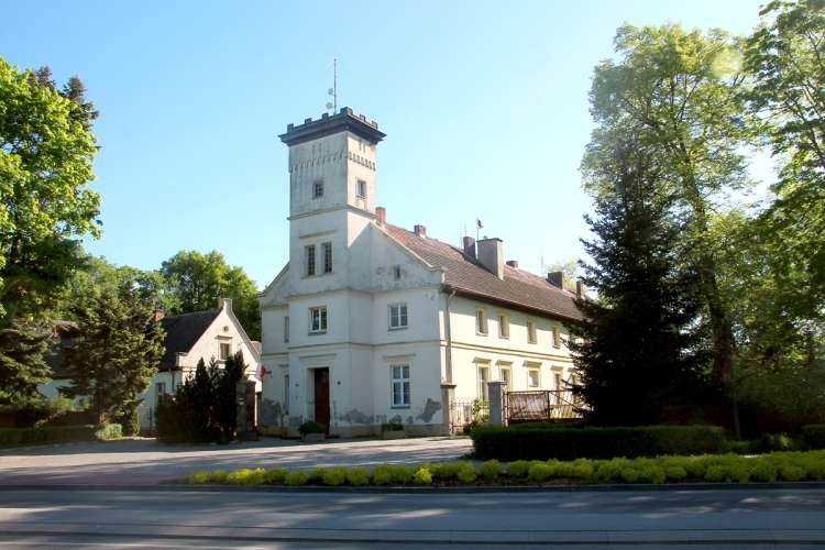 Drogi, zabytkowy kartofel