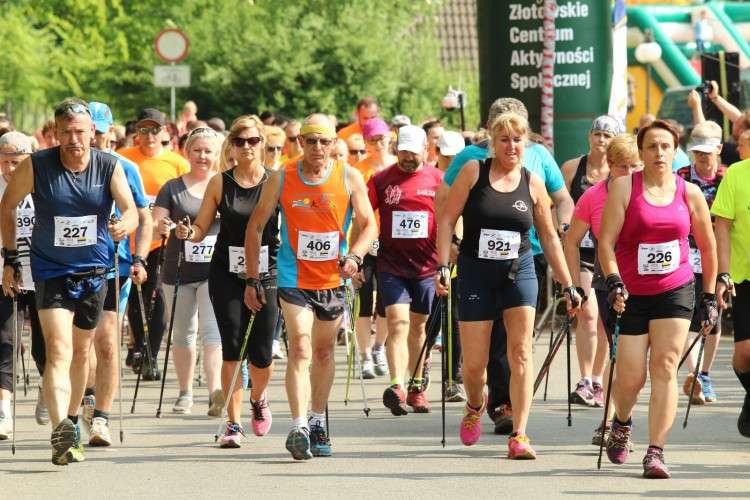Start biegu nordic walking - Bieg Zawilca 2018
