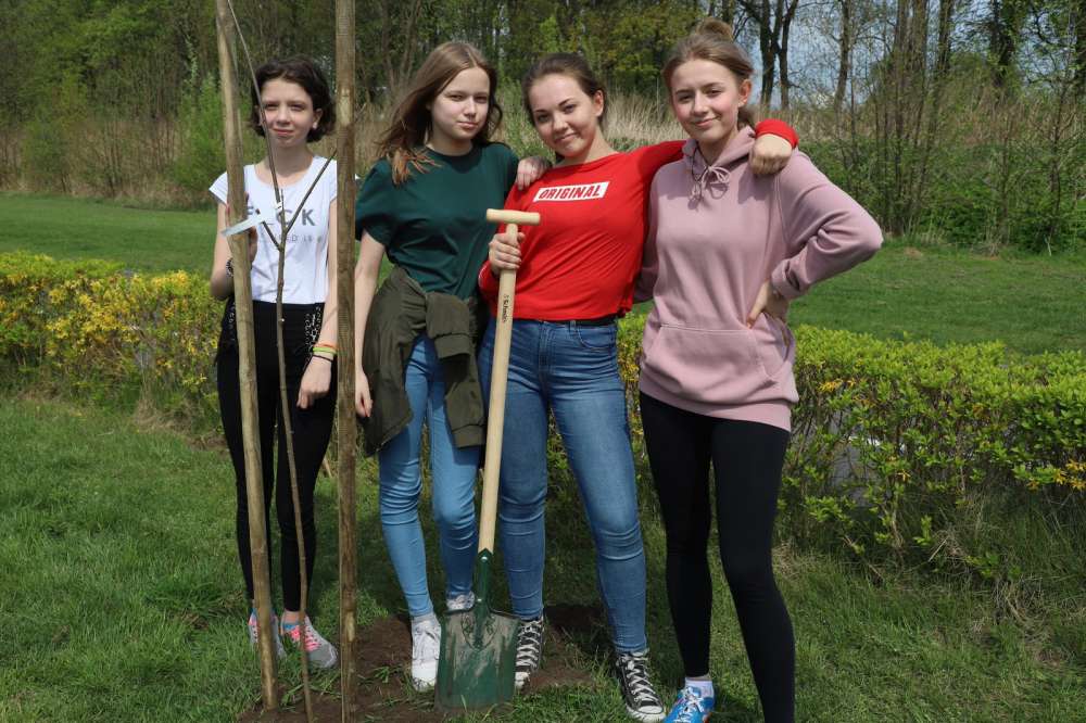 Posadzili drzewa na promenadzie