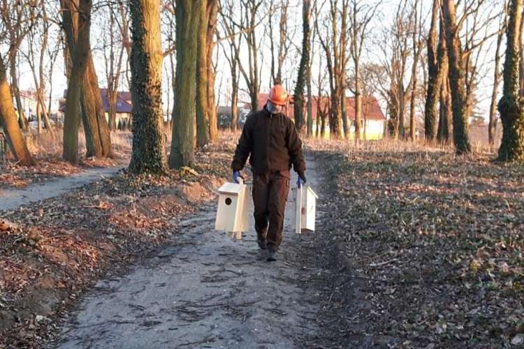 Budki dla ptaków w Złotowie