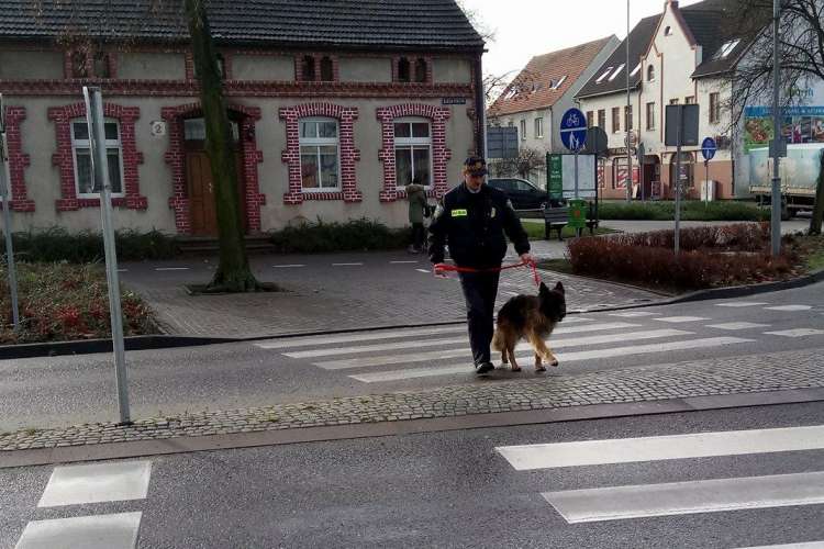Pies służbowy w Straży Miejskiej w Złotowie [AKTUALIZACJA]