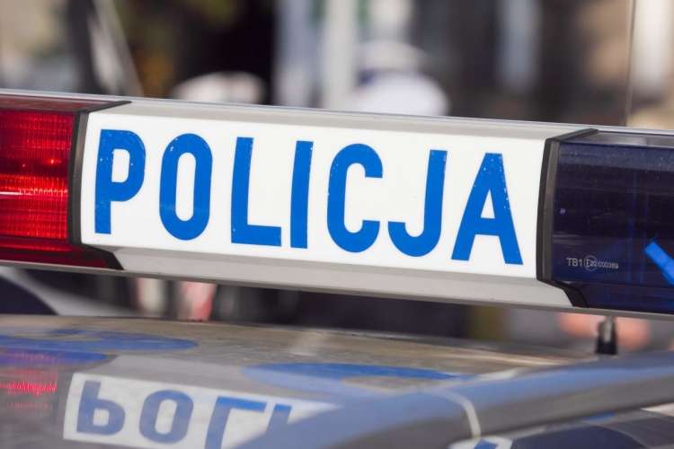 19 wykroczeń 19 mandatów karnych