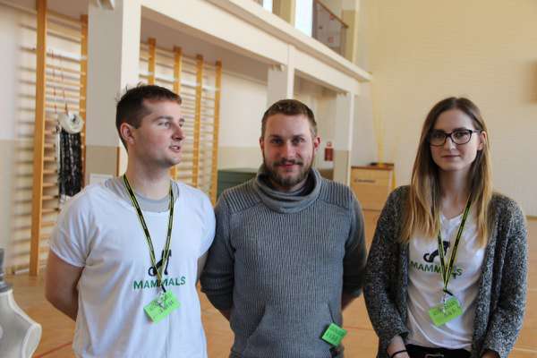 Bazarek dla Kocich Bezdomniaków