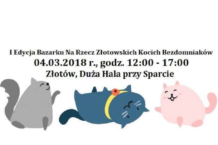 Bazarek Na Rzecz Złotowskich Kocich Bezdomniaków