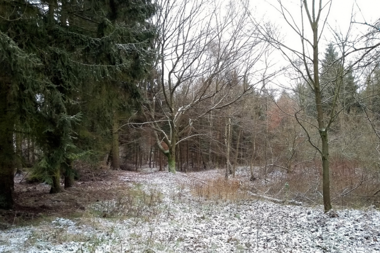 Jest projekt, będzie park