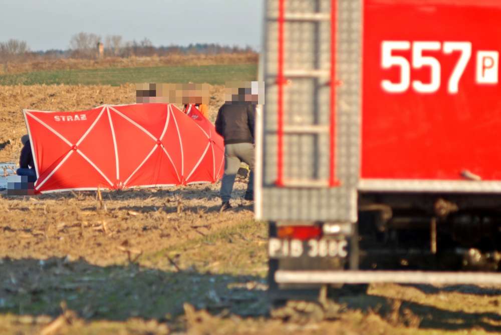 W pobliżu drogi wojewódzkiej numer 242 znaleziono ciało kobiety [WIDEO]