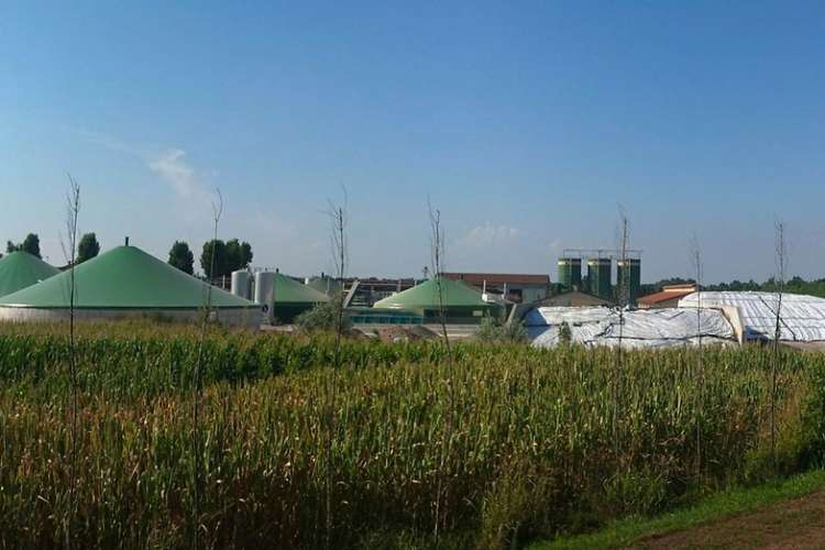 Prąd ze ścieków i odchodów