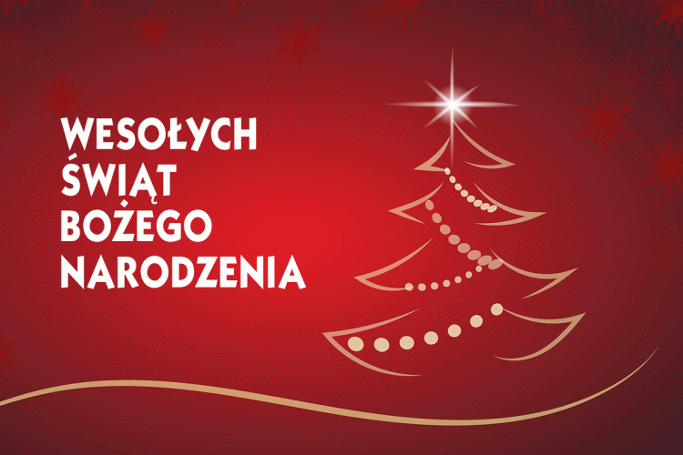 Fantastycznych, mroźnych świąt Bożego Narodzenia...