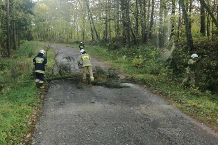 Zakrzewscy strażacy usuwali skutki silnego wiatru