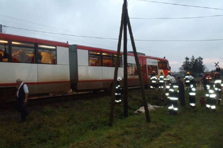 Kolejne zdarzenie na torach. Szynobus uderzył w krowę