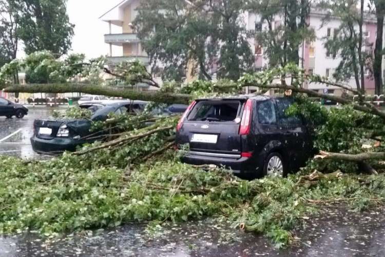 Będzie silnie wiało. Nadciąga Orkan Ksawery