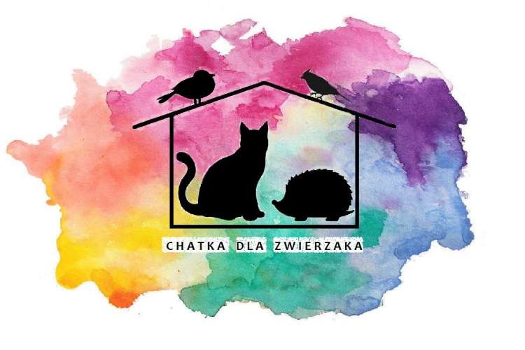 Chatka dla zwierzaka - czyli co i dla kogo?