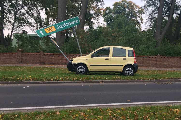 Pandą w znak drogowy