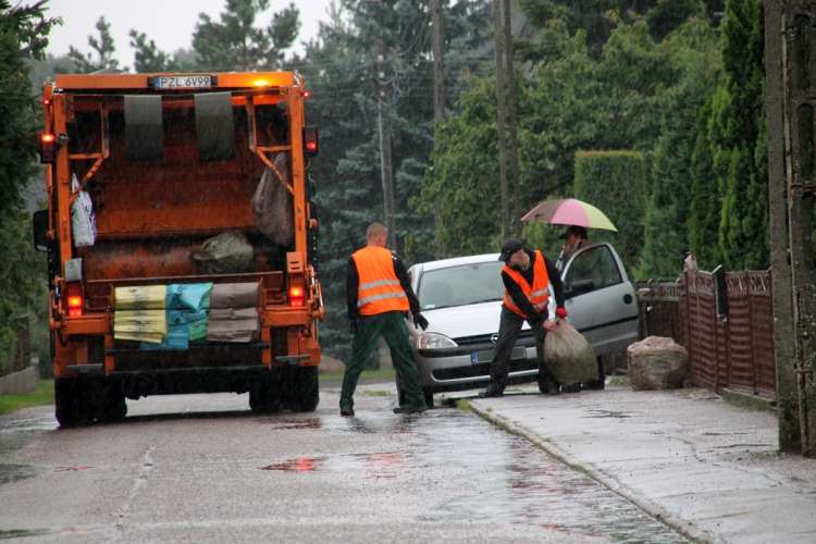 Czipy pokażą prawdę