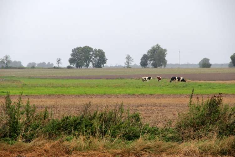 Słoneczna farma w Augustowie