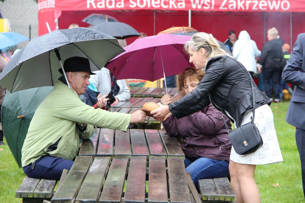 Dożynkowo w Zakrzewie