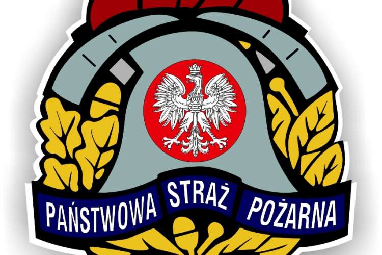 Strażacy wypompowywali wodę