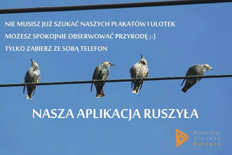 Aplikacja na smartfony 