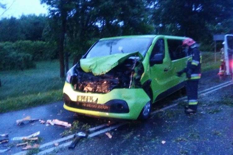 Kierujący busem uderzył w leżące na drodze drzewo