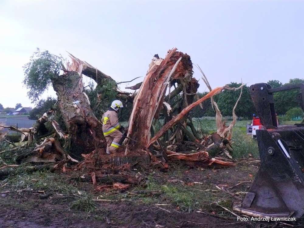 Strażacy z OSP Zakrzewo i OSP Głomsk usuwali skutki nawałnicy