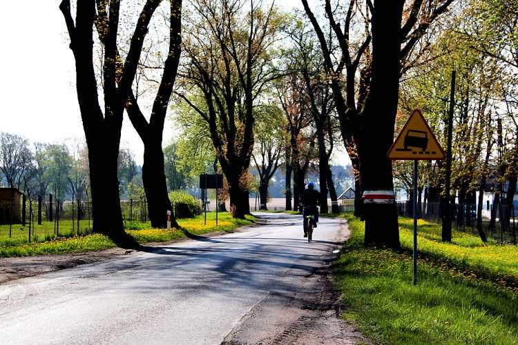 Ekolodzy protestują. Opóźnienia w decyzjach