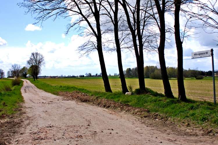 2,5 miliona na drogi?