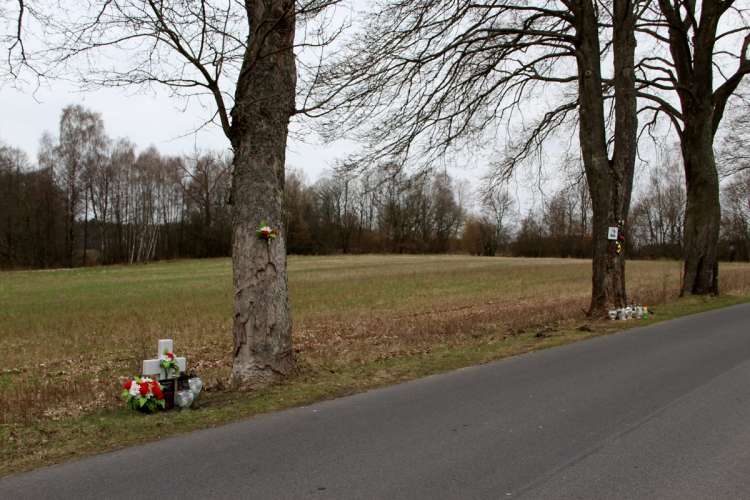 Moralny kac. Dopiero teraz wycięli drzewa