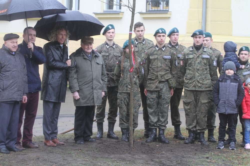 Aleja Batalionów Chłopskich w Złotowie