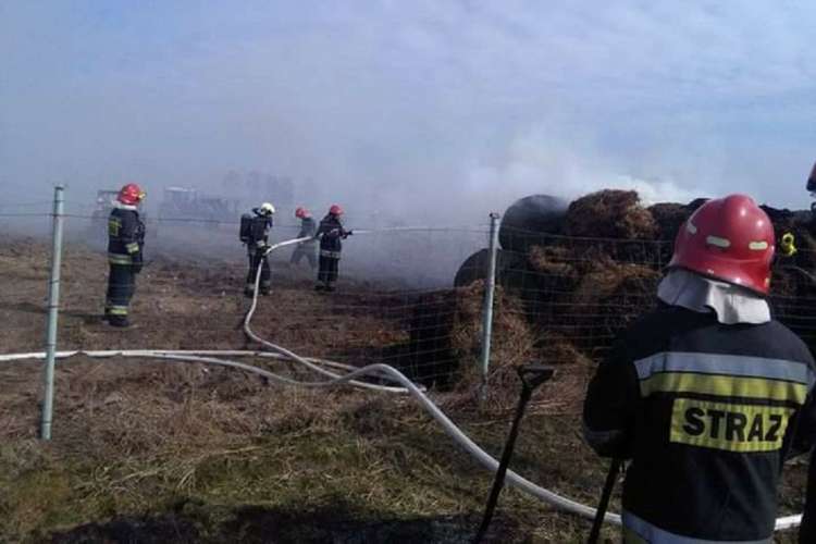 Trzy interwencje strażaków OSP Tarnówka