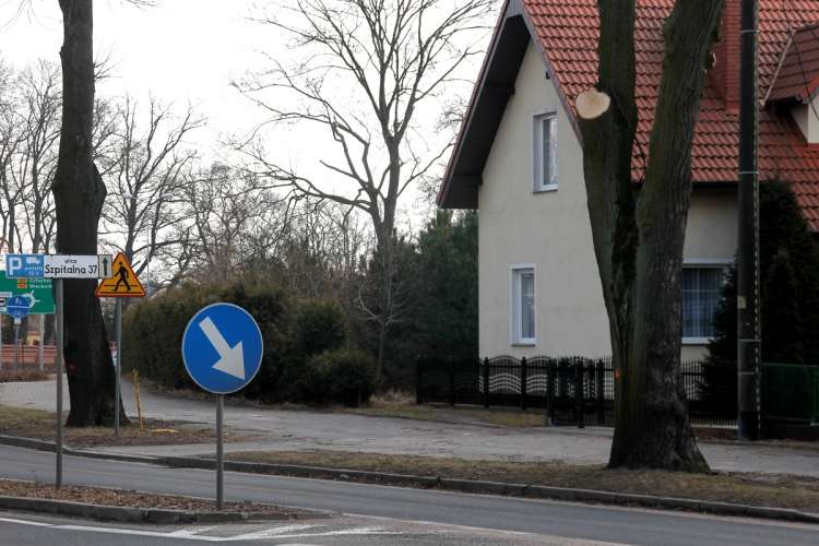 Coraz większy konflikt na linii Rejon Dróg – ekolodzy