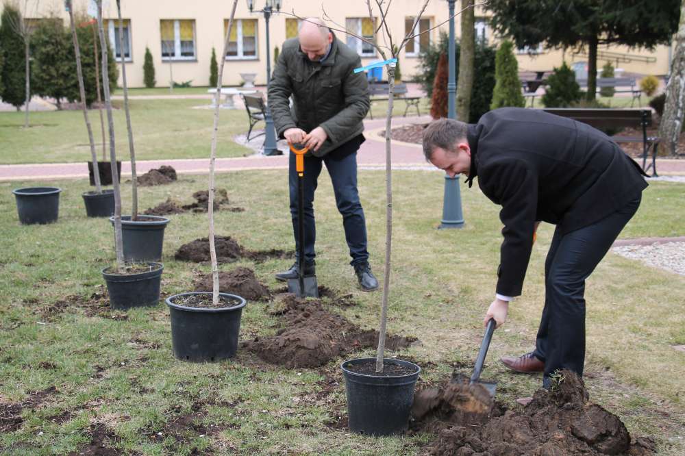 Akcja Drzewo dla Polski dotarła do Złotowa