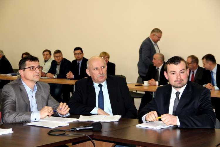 Drzewa do wycięcia. Ekolodzy są przeciwni