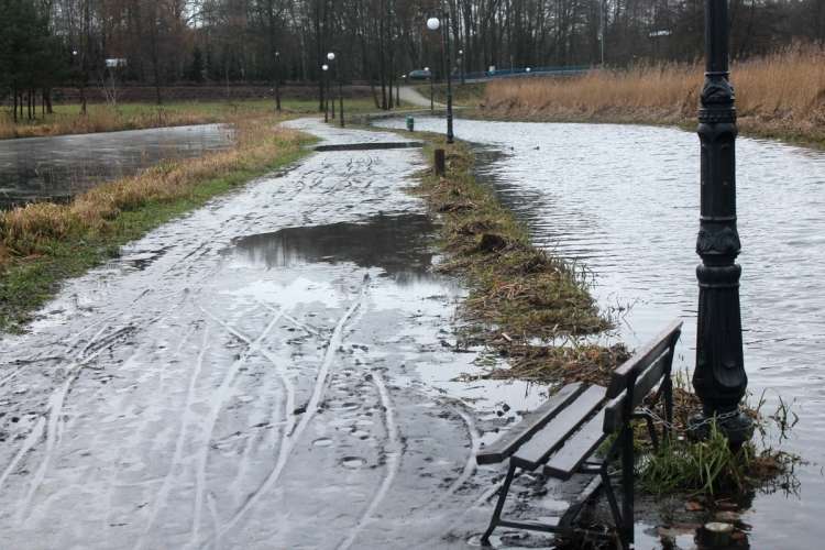 Z Babą nie wygrasz