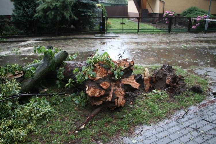 W nocy mocno wiało. Straż interweniowała 5 razy