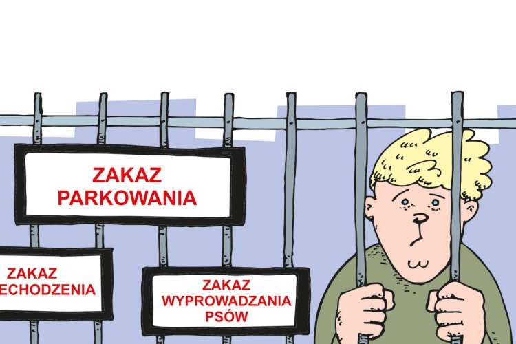 Grodzimy sobie!