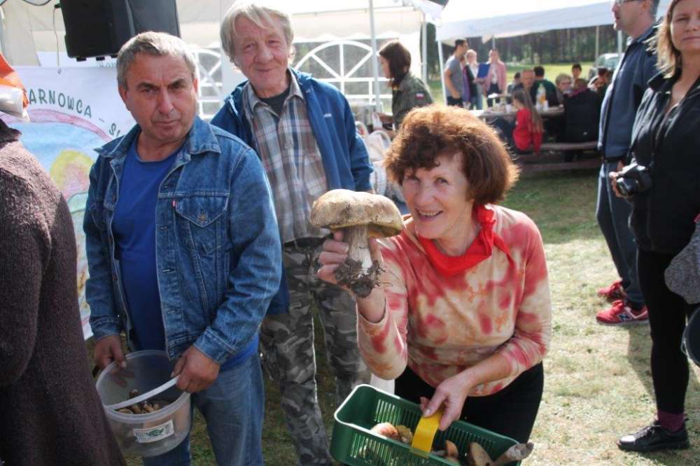 Powiatowe grzybobranie