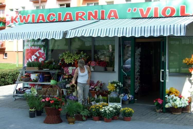 „Viola” nie z tej bajki