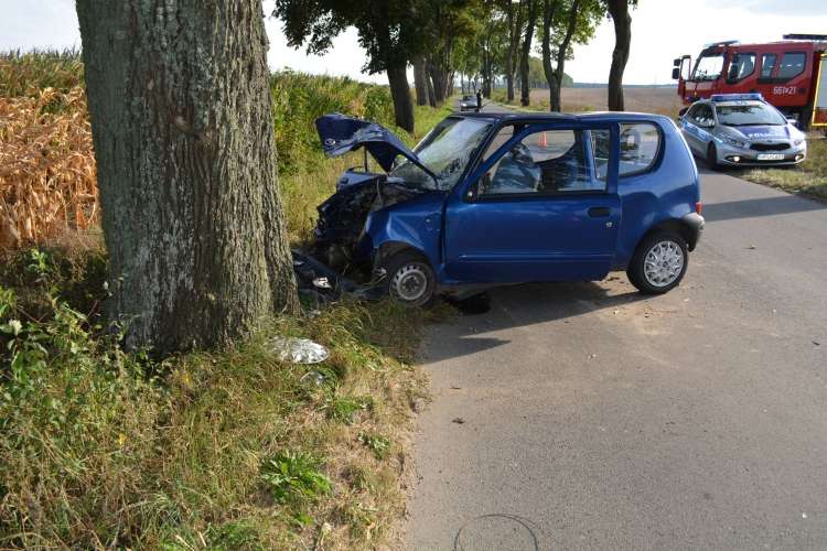 Czołówka fiata z drzewem na trasie Złotów-Stawnica. Kobieta w szpitalu