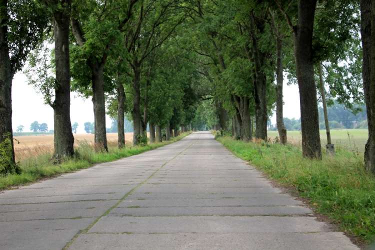 Polbruk za płyty betonowe. Czy to dobra wymiana?